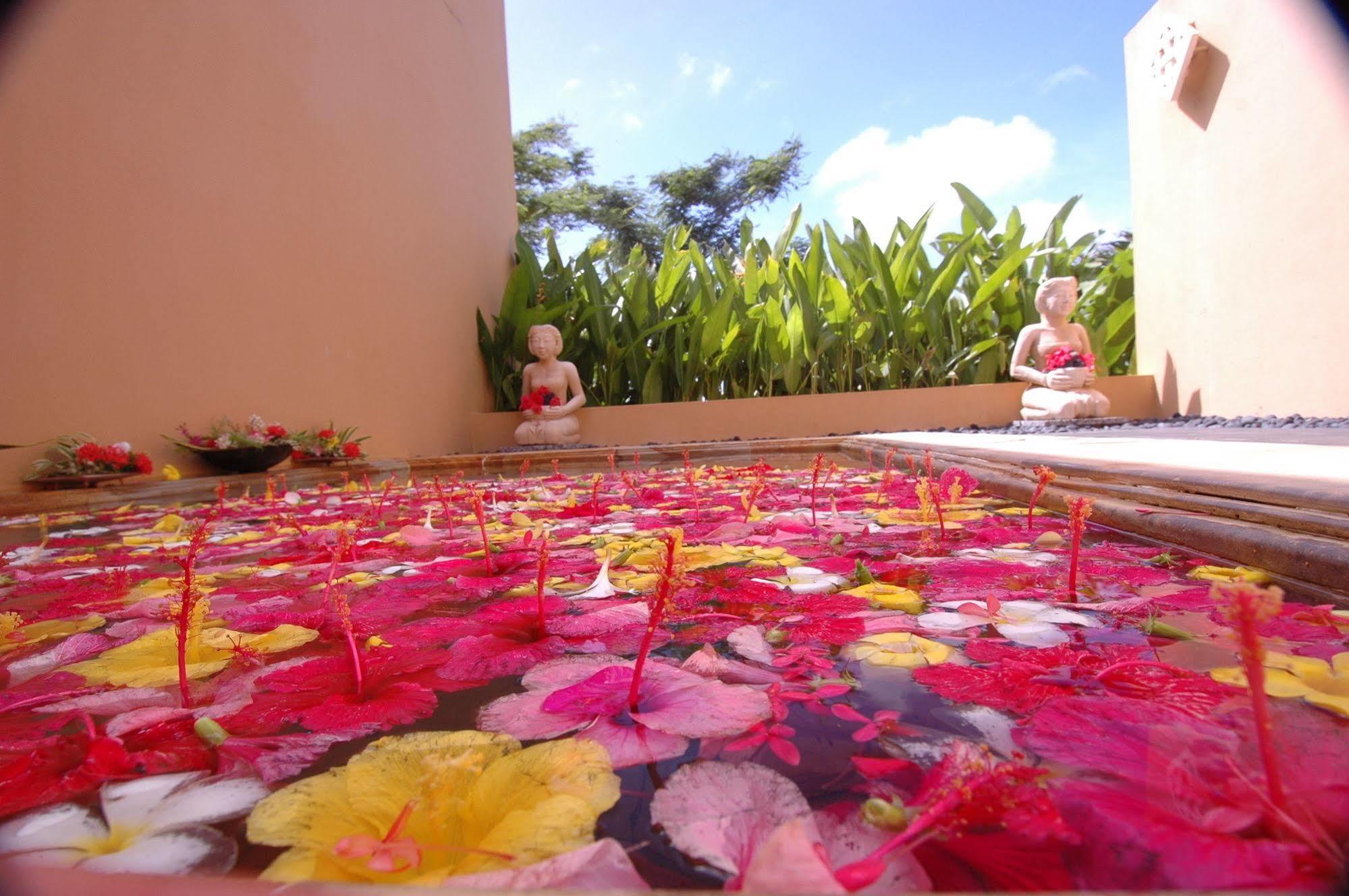 Mariana Resort & Spa San Roque Dış mekan fotoğraf